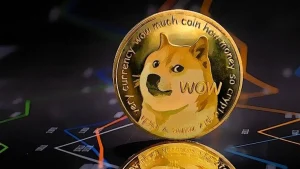 6771df4f0cc26c0b8fcbb95b_dogecoin crypto loan