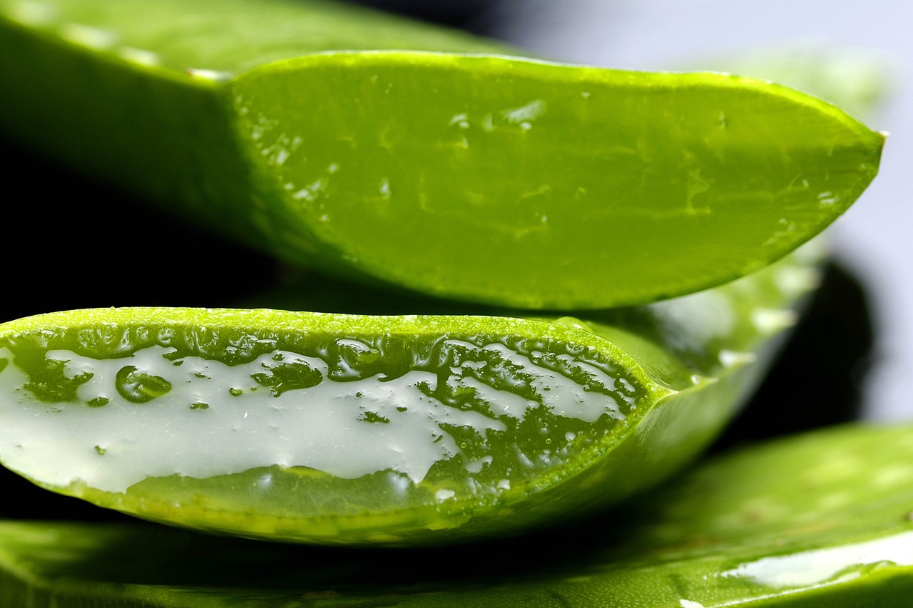 Aloe, aloe vera, nature — Mastering Statistical Techniques for Modern Health Challenges