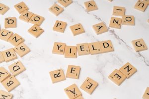 dividend stocks to watch