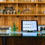 What Canadian Consumers Should Know About Online Cannabis Retailers